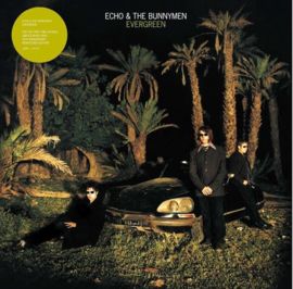Echo & The Bunnymen / Evergreen