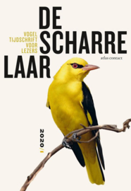 De Scharrelaar 3 - Vogeltijdschrift voor lezers 2020/1