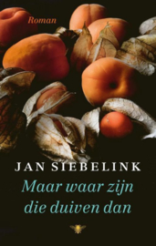 Jan Siebelink ; Maar waar zijn die duiven dan