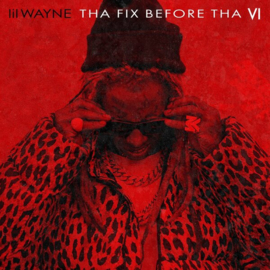 Lil Wayne - Tha Fix Before Tha VI (LP)