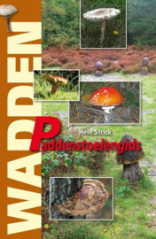 Wadden Paddenstoelengids