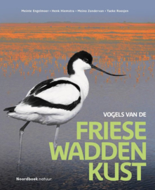 Meinte Engelboer ; Vogels van de Friese Waddenkust