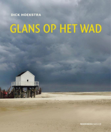 Dick Hoekstra ; Glans op het wad