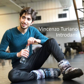 Vincenzo Turiano, Introdans