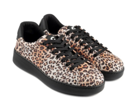 PD-Groovies Bali-Black Sole