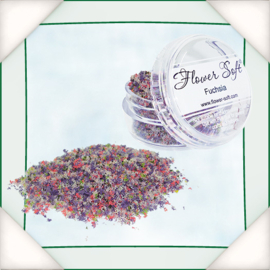 Flowersoft - Fuchsia