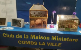 Zondag 13 oktober - Salon de la Miniature in Combs de Ville (Parijs)