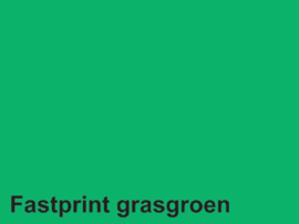 Papier 120 gr - Grasgroen