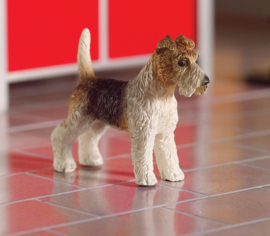 Tommy, the foxterrier