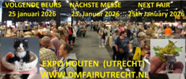 Zondag 25  januari - Expo Houten