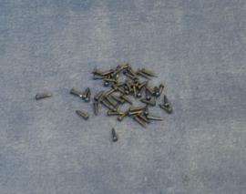 Spijkertjes 6 mm - zilver