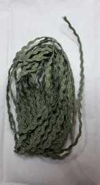 Zigzagband 2 mm - 3m sage groen
