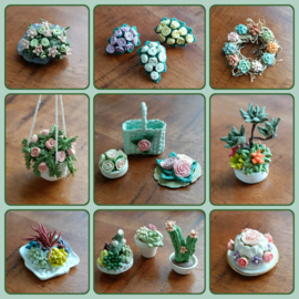 Bloemen en Plantjes