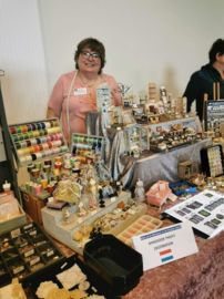 Zondag 12 oktober - Salon de la Miniature in Combs de Ville (Parijs)