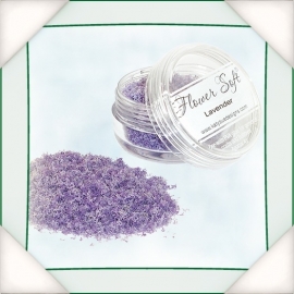 Flowersoft - Lavender