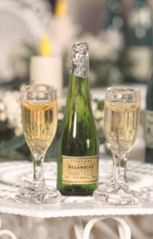 Fles Champagne met 2 gevulde glazen