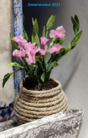 Plant: Oleander (zelf maken)