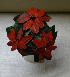 Plant: Kerstster