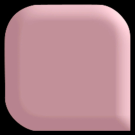 Acrylic Powder Makeover Rose 100gr.