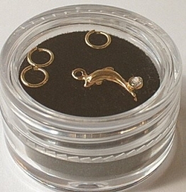 Piercing dolphin (gold)