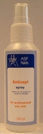 Antisept 120ml. in sprayfles