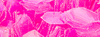 NAS03-NailArt Sequins 03 roze