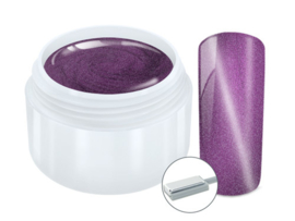 Gel 5ml Cat Eye Magnet purple