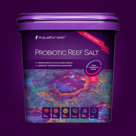 Aquaforest Probiotic Reef Salt  22  kg