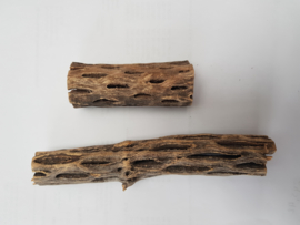 Cholla wood 7/8 cmdiameter 3 cm