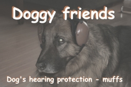 Dog's hearing protection muffs.