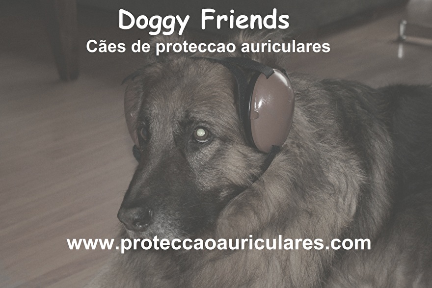 Proteccion de oidos-perros-canino.