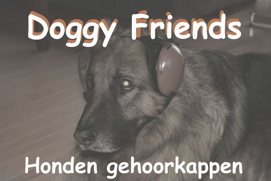 hond-bang-angst-onweer-vuurwerk