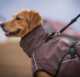 Active cape light / honden jas