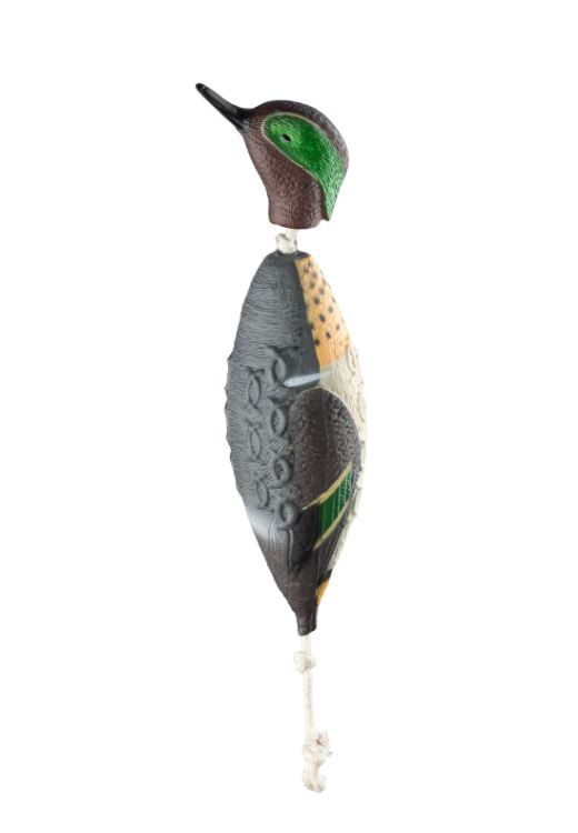 HP&G Green Winged Teal wintertaling