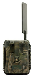 Seissiger Wildcamera 4G Special-Cam LTE  SUPERSIM-Edition