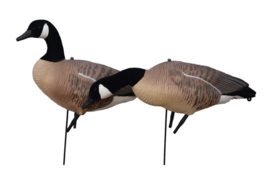 Prodecoys Canadese ganzen lokkers (6 of 12 stuks)