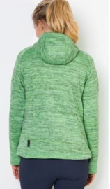 Jack Wolfskin Aquila Hooded Jacket W Spring Green dames vest maat S
