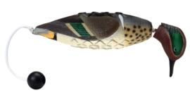 Avery EZ-bird Green Winged Teal wintertaling