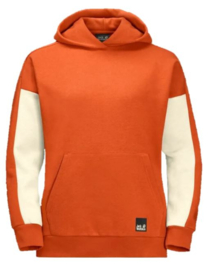 Jack Wolfskin 365 Hoodie Dames Sweater maat M