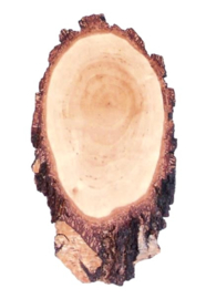 Trofee plank van berken hout 27x16cm