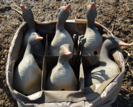 Prodecoys draagtas voor 6 lokkers