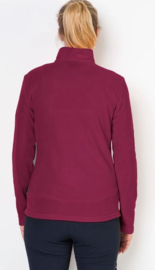 Jack Wolfskin Gecko Half Zip W dunne dames fleece