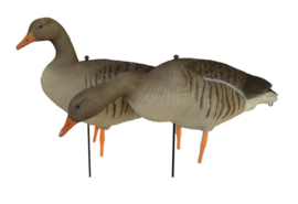 Prodecoys Greylag  grauwe ganzen lokkers (6 of 12 stuks)