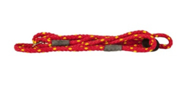 Sporting Saint Dog training lead 1.5 meter