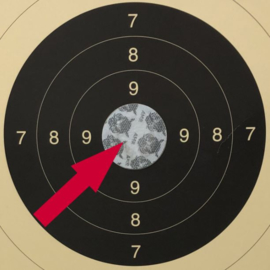 Thermo Vision Target Pads warmtebeeld inschiet pads (10 st)