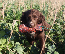 Sporting Saint Flight Pheasant Dummy 250 of 500 gram