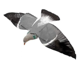 Sillosocks Pigeon Hypaflap duif