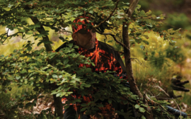 Deerhunter Recon Act Jacket signaal oranje camo heren jas