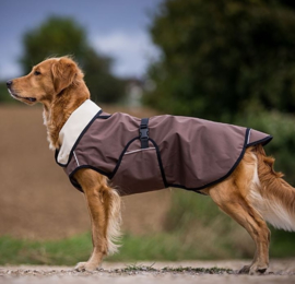 Active cape light / honden jas