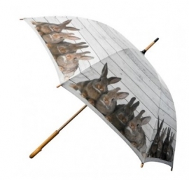 Paraplu met afbeelding